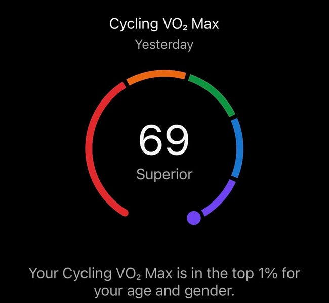 a VO2 Max screen of garmin